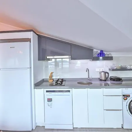 Apartament Penthouse 1-2 Ozy *